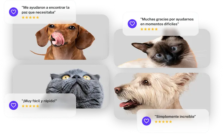 Hero móvil de FunerariApp